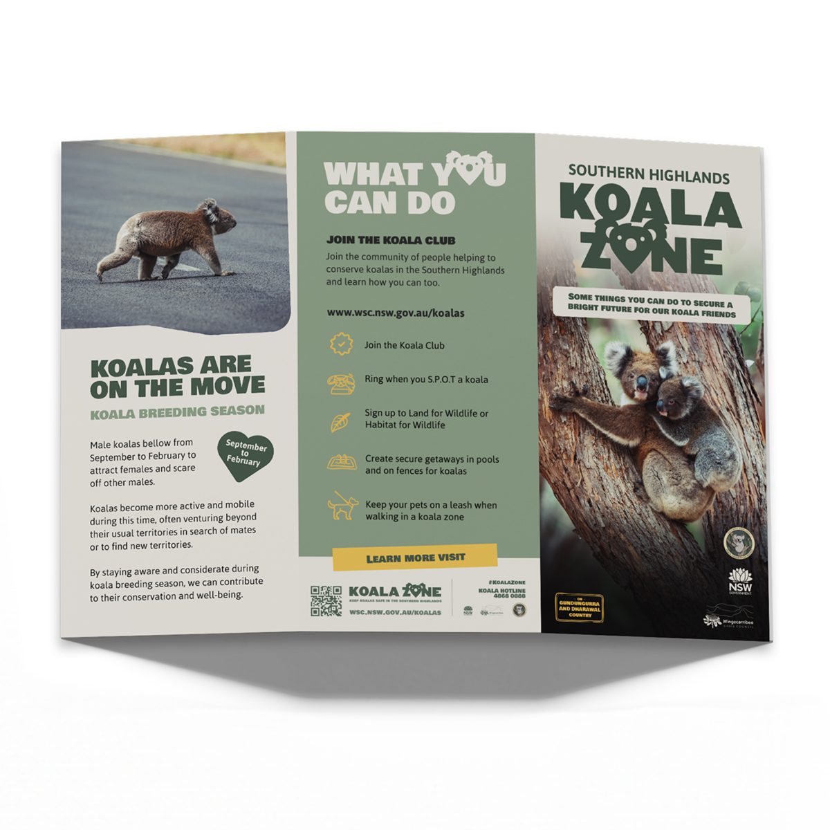 Koala-Zone-1