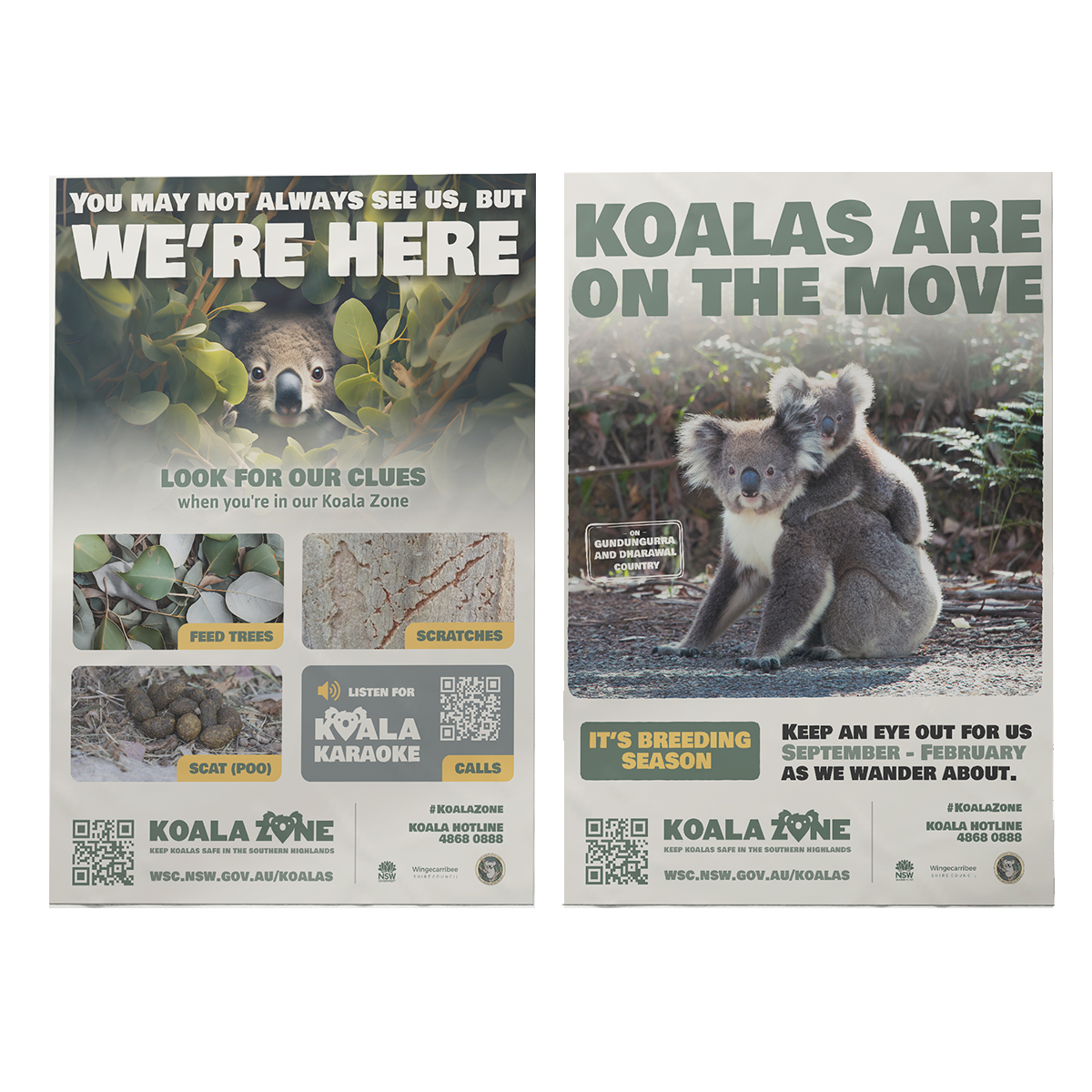Koala-Zone-2