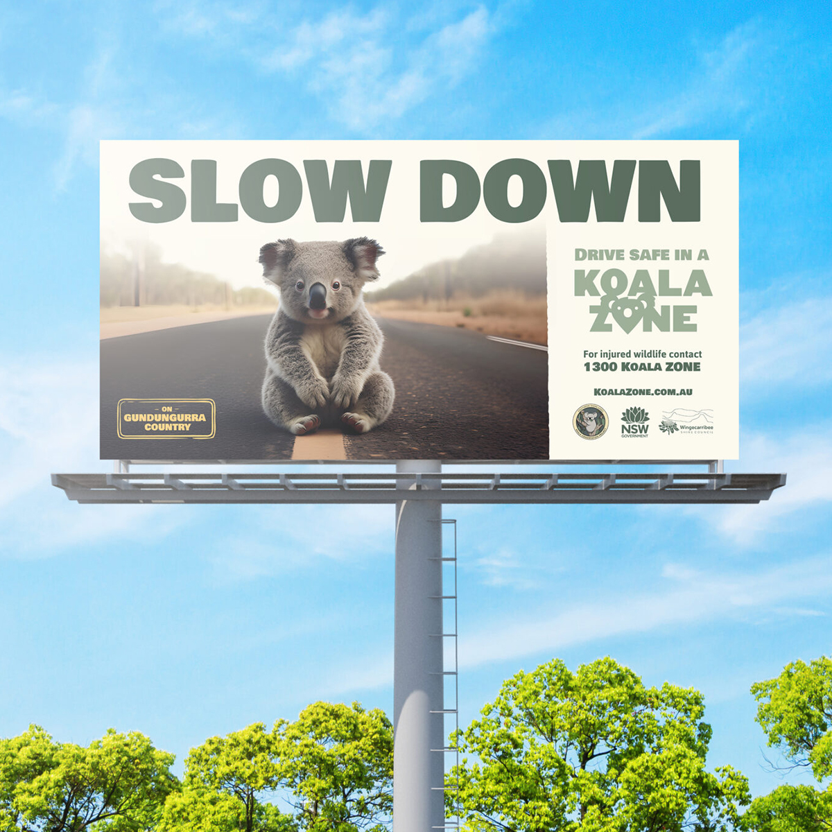 Koala-Zone-4